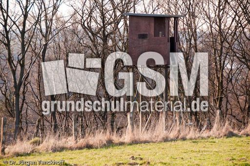 Hochstände (130 von 154).jpg